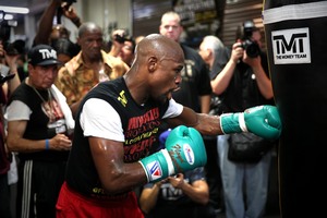 Mayweather Works out (pics StephanieTrapp)