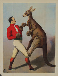 Kangaroo_Boxing_sideshow_poster.jpg
