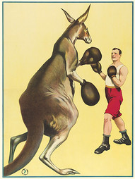 Aussie boxing