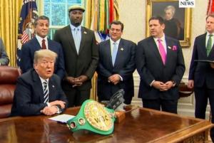 pic World Boxing Council